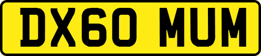 DX60MUM