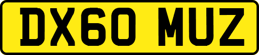 DX60MUZ