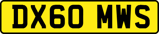 DX60MWS