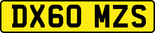 DX60MZS