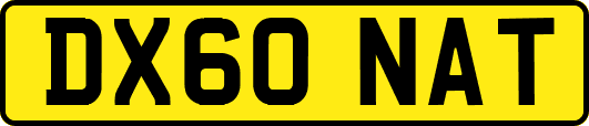 DX60NAT