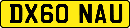 DX60NAU