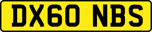 DX60NBS
