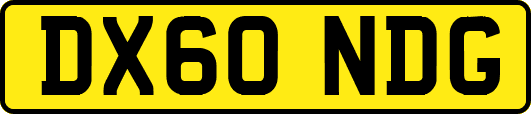 DX60NDG