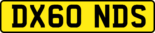 DX60NDS