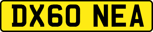 DX60NEA