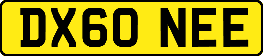 DX60NEE