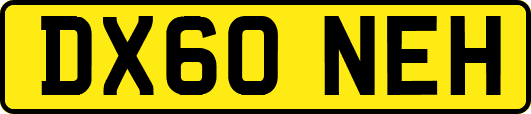 DX60NEH