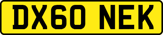 DX60NEK