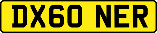 DX60NER