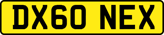 DX60NEX