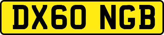 DX60NGB