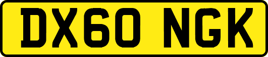 DX60NGK