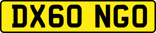 DX60NGO