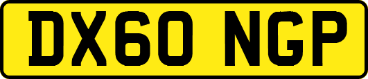 DX60NGP