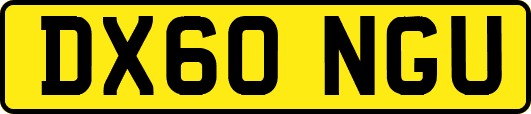 DX60NGU