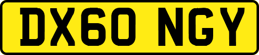 DX60NGY