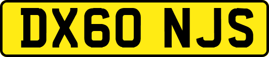DX60NJS
