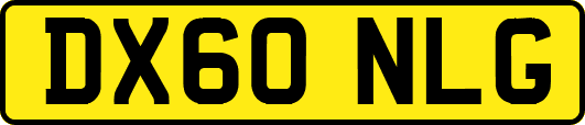 DX60NLG