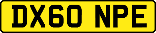 DX60NPE