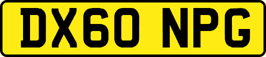 DX60NPG