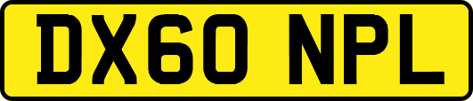 DX60NPL