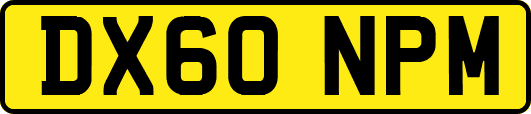 DX60NPM
