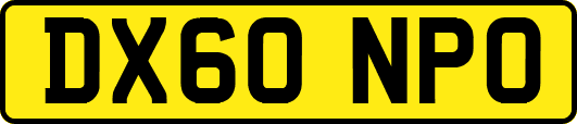 DX60NPO
