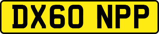 DX60NPP
