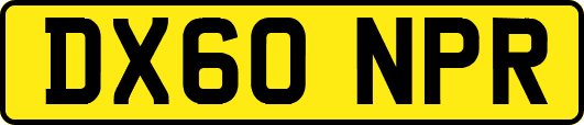 DX60NPR