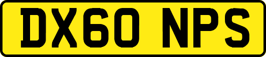 DX60NPS