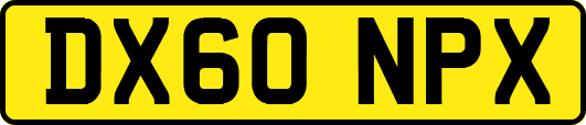 DX60NPX