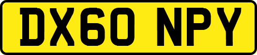DX60NPY