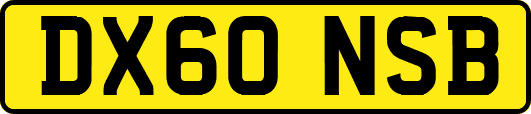 DX60NSB
