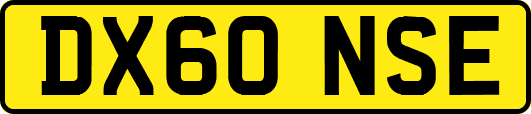 DX60NSE