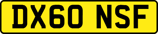 DX60NSF