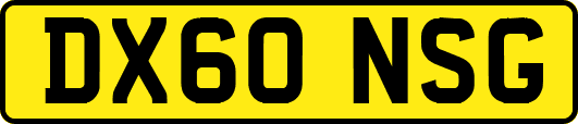 DX60NSG