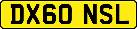 DX60NSL