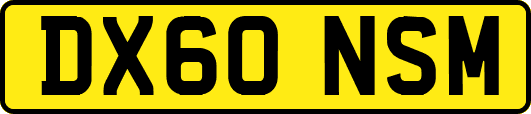 DX60NSM
