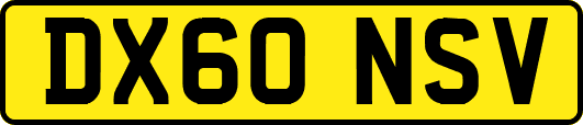 DX60NSV