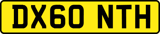 DX60NTH