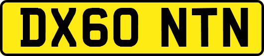 DX60NTN