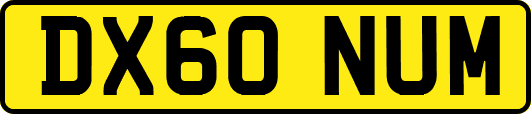 DX60NUM