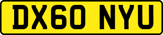 DX60NYU