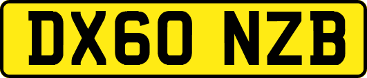 DX60NZB