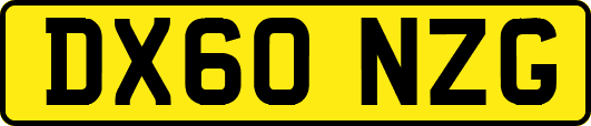 DX60NZG
