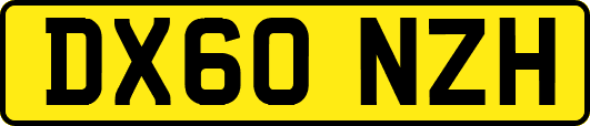 DX60NZH