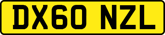 DX60NZL
