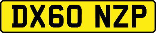 DX60NZP
