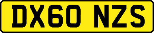 DX60NZS